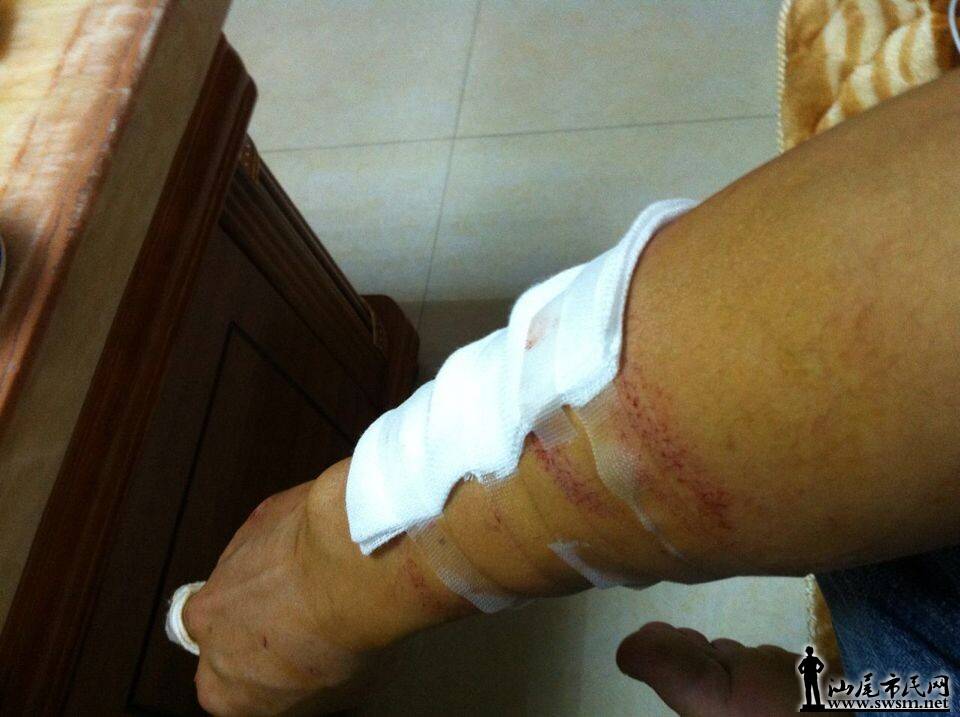 QQͼƬ20141212161217.jpg