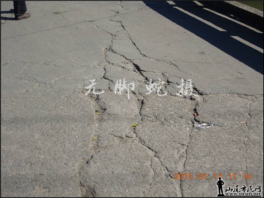 DSCN6979.JPG