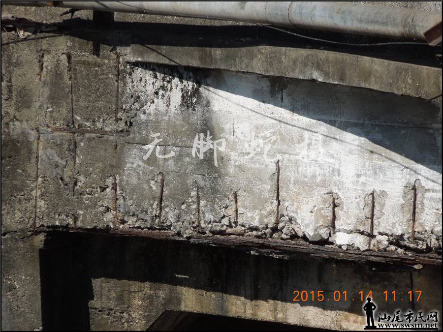 DSCN6986.JPG
