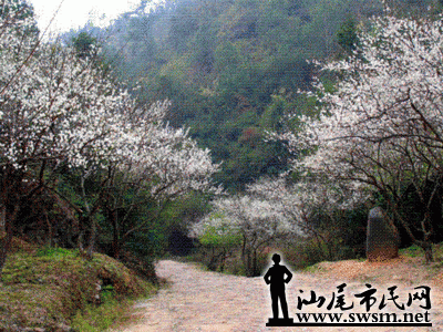t01044b5491aaa1e3cd.gif