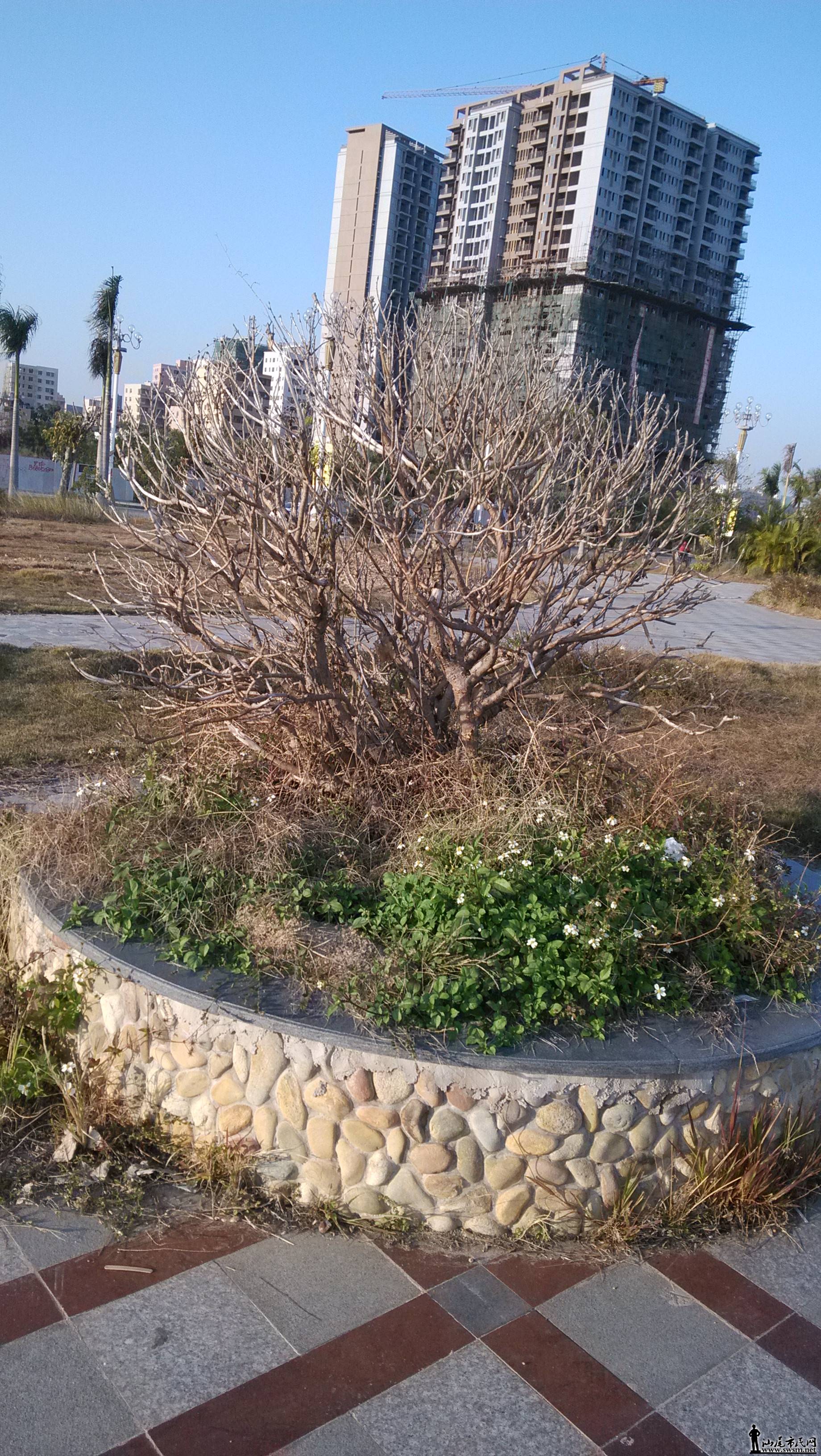 IMG_20150122_165858.jpg