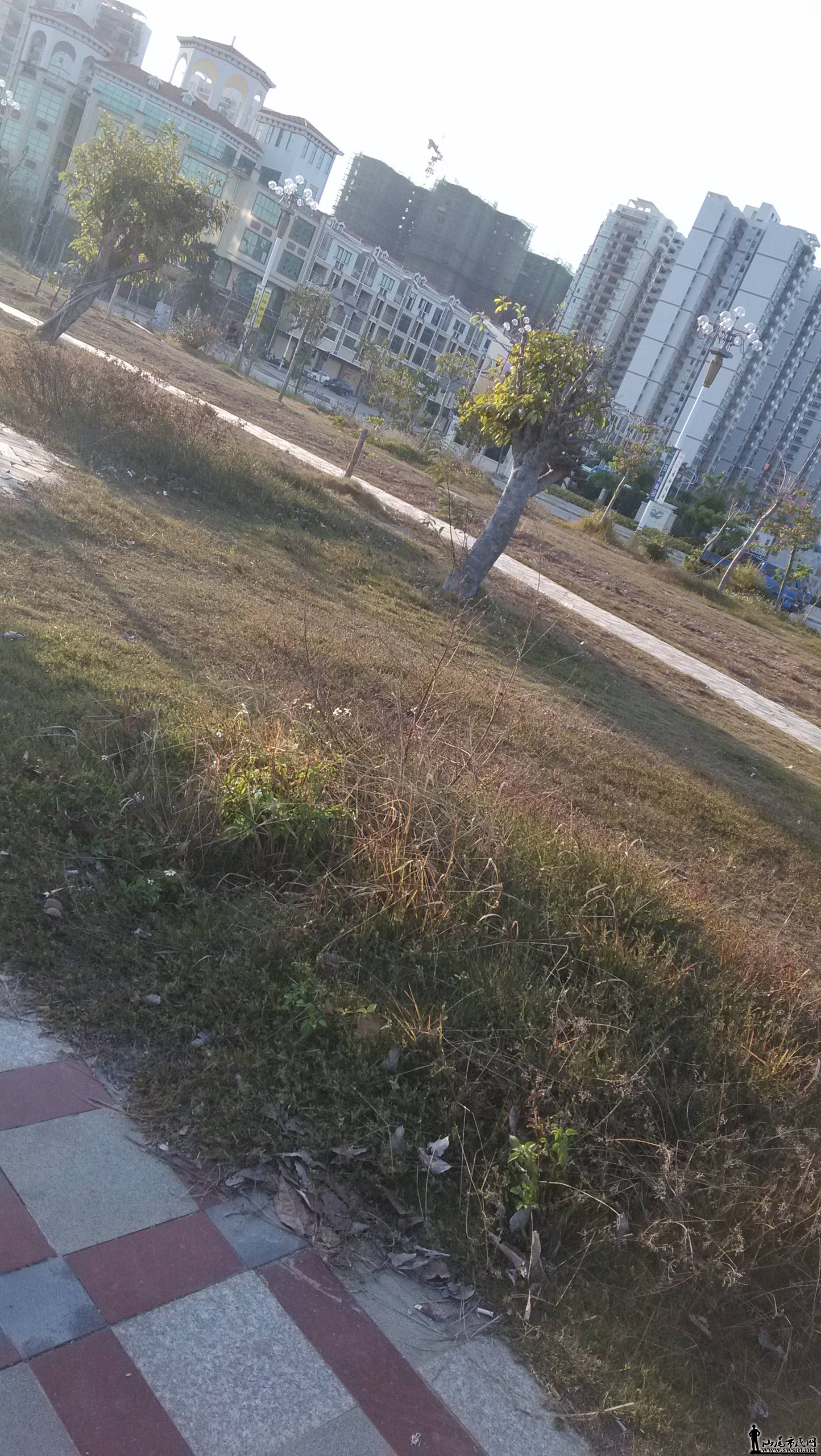 IMG_20150122_165902.jpg