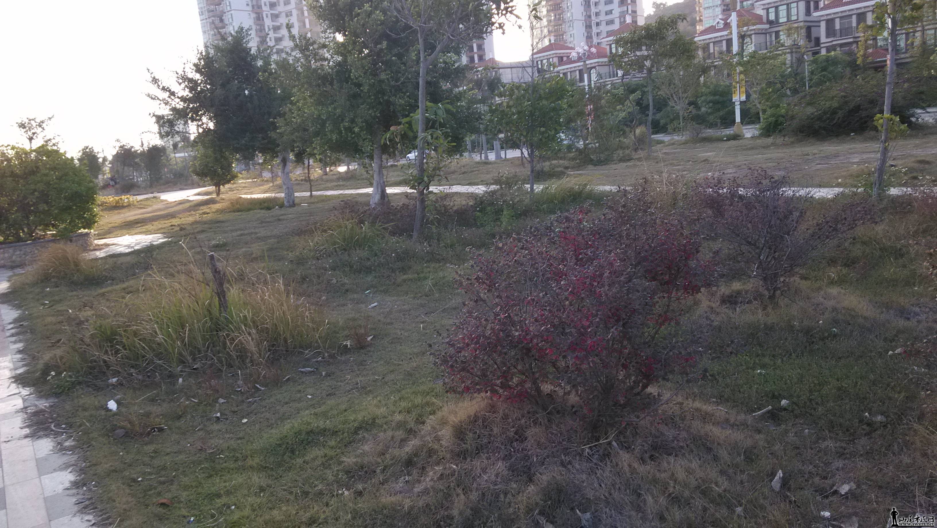 IMG_20150122_170048.jpg