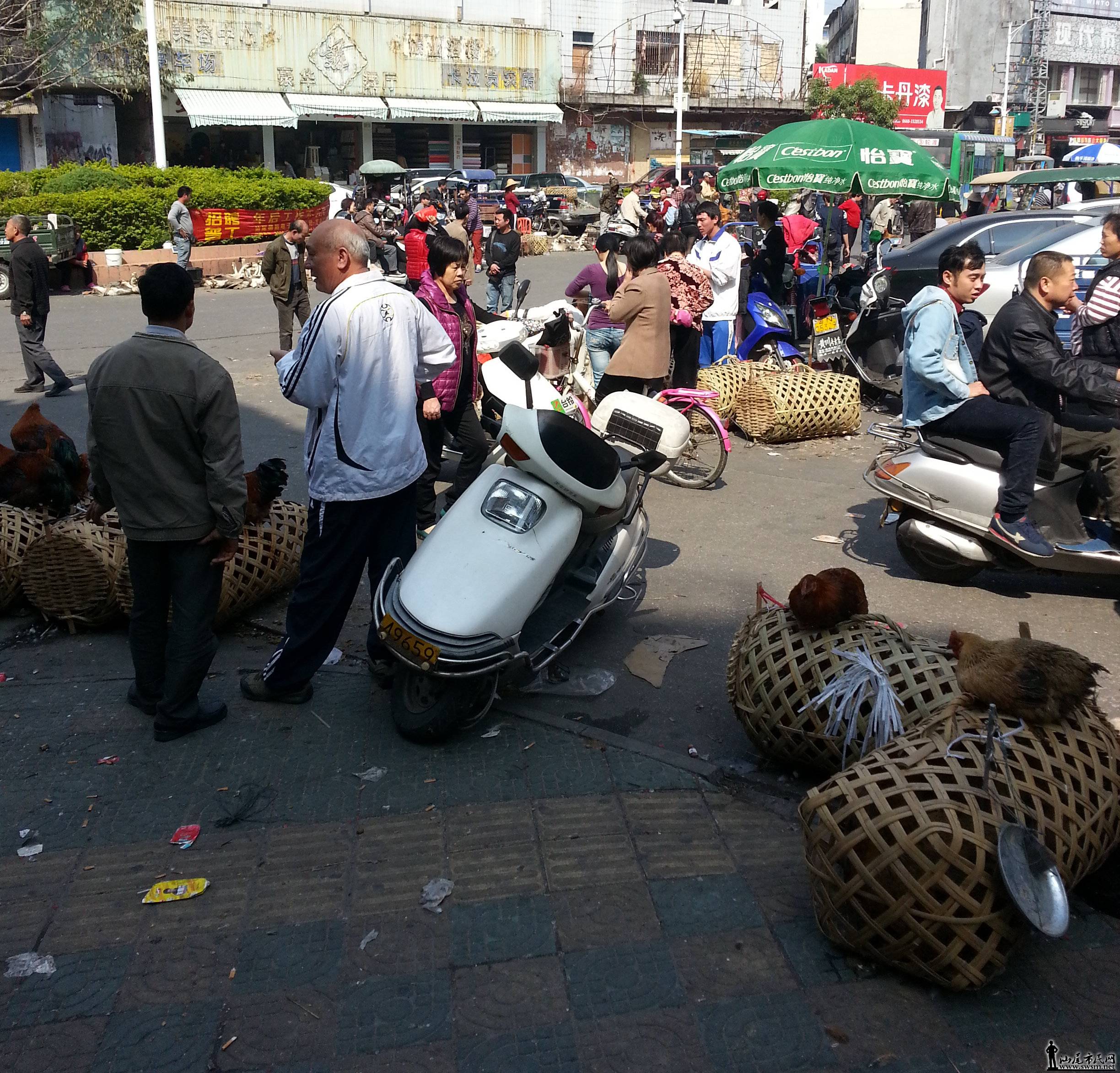 20150217_110627.jpg