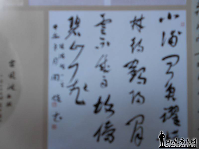 DSCN0248.jpg