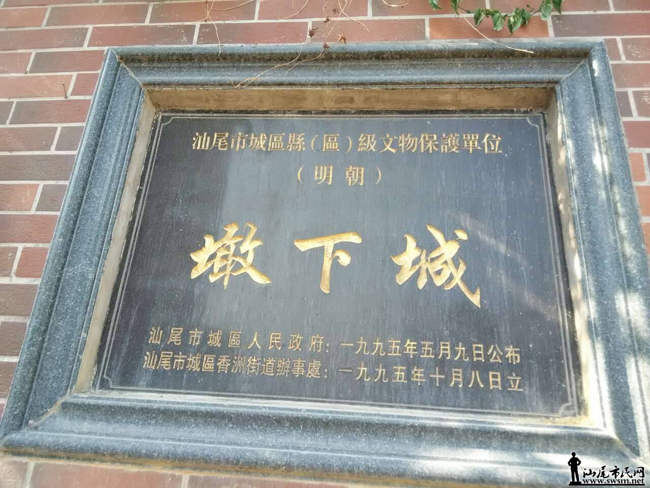 7271892648259275610.jpg