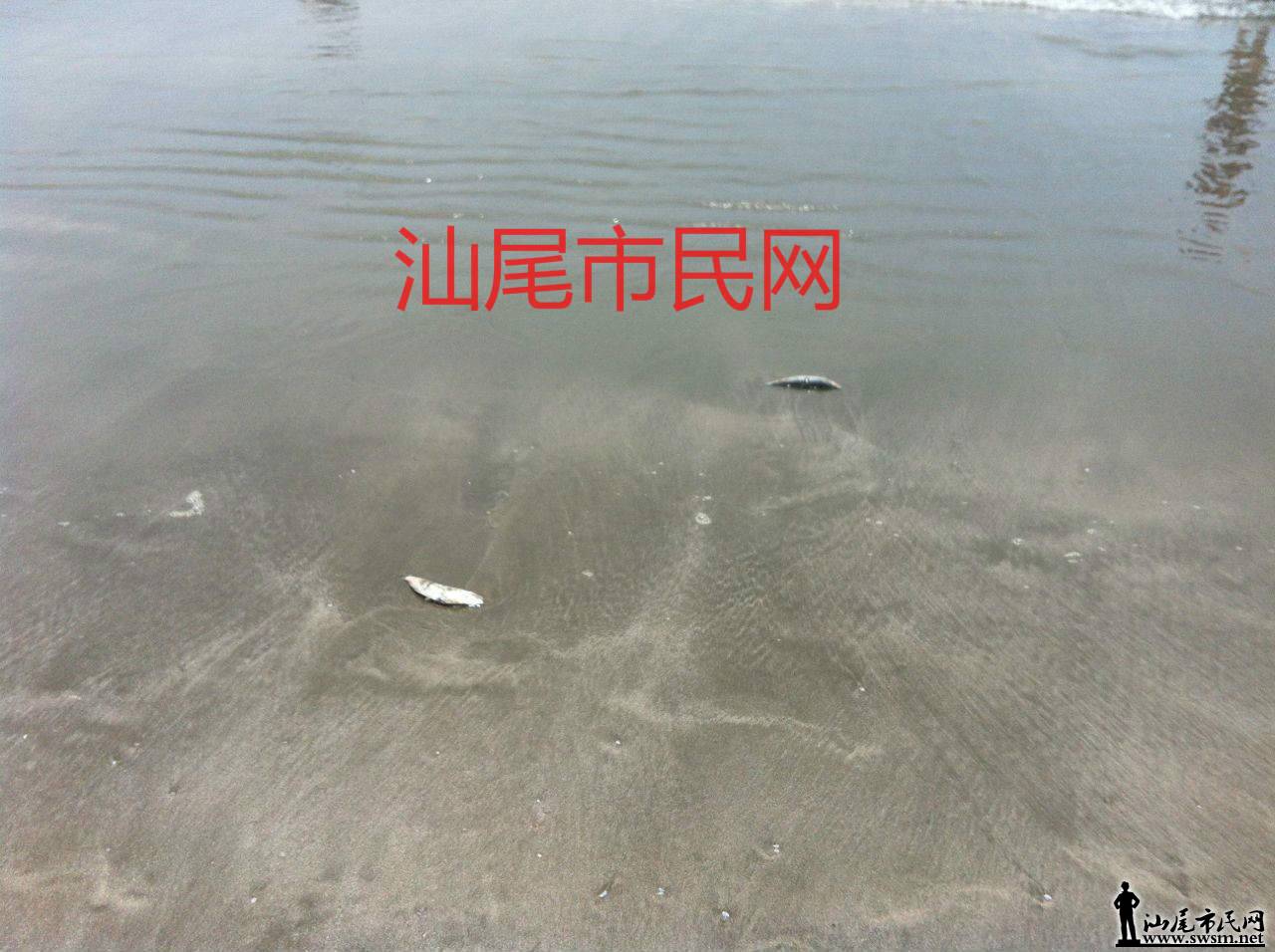 δ21_meitu_2.jpg