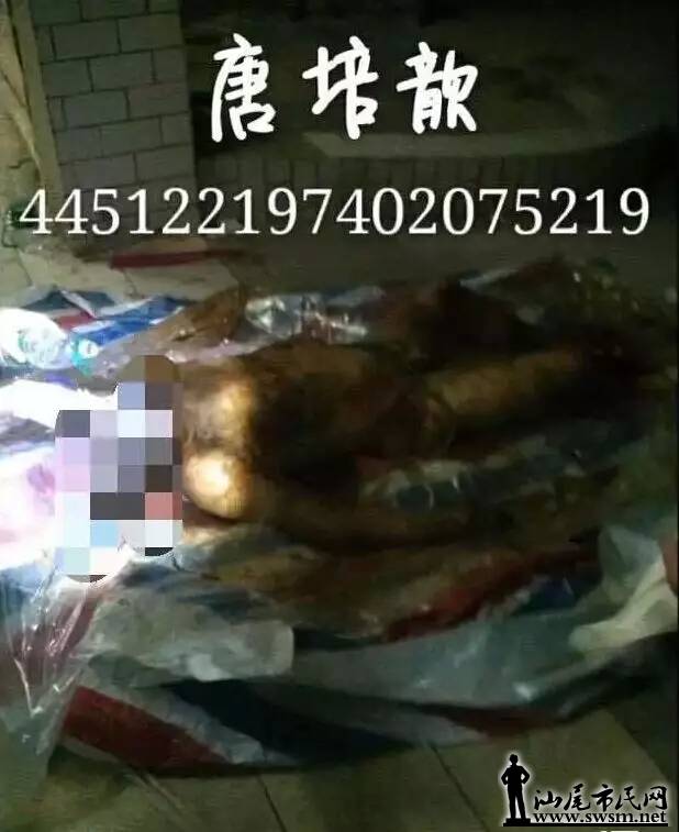 64022.webp.jpg