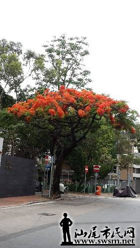 20150428_070121.jpg