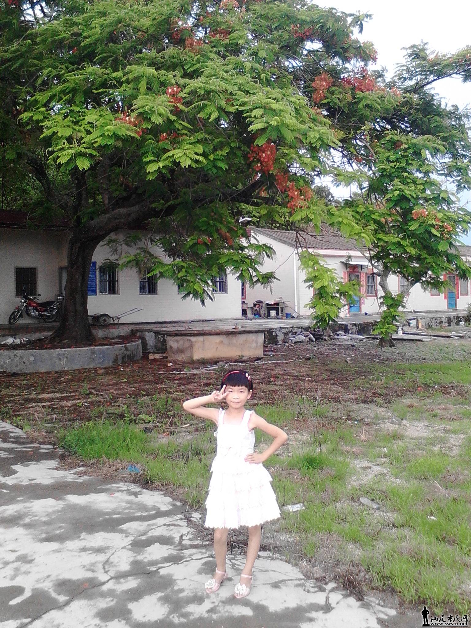 IMG20150517173337.jpg