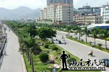 6404.webp.jpg