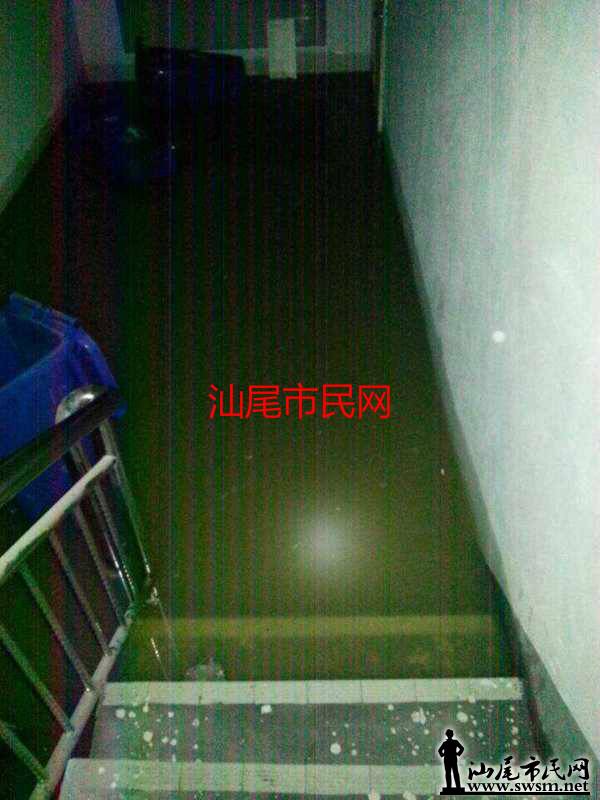 7811922784239172417_meitu_1.jpg