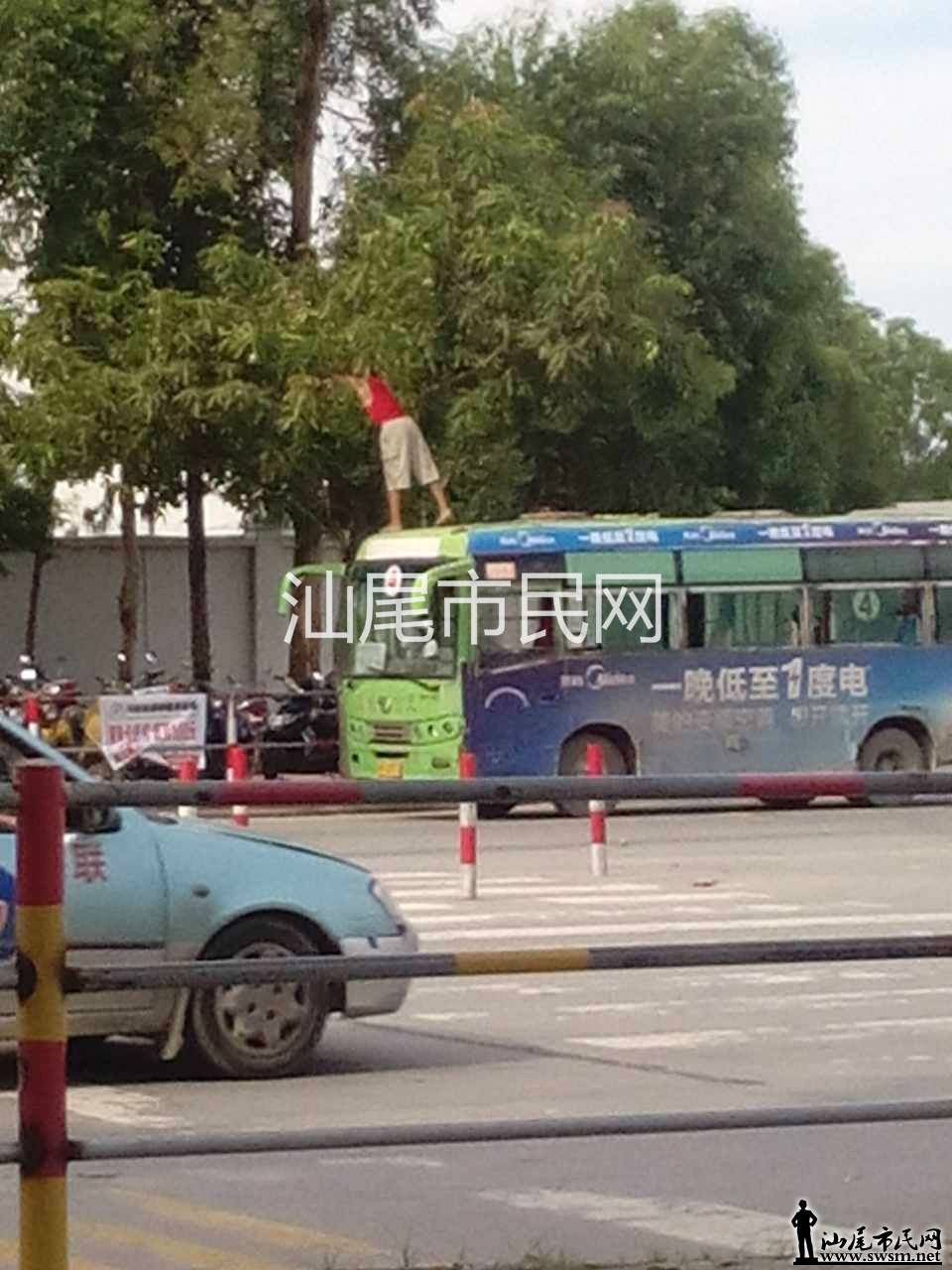 164481122393946945_meitu_4.jpg