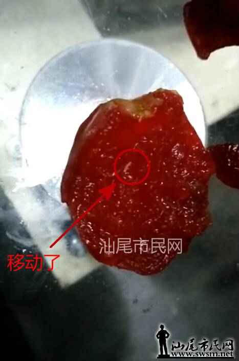 QQͼ20150612095455_meitu_2.jpg