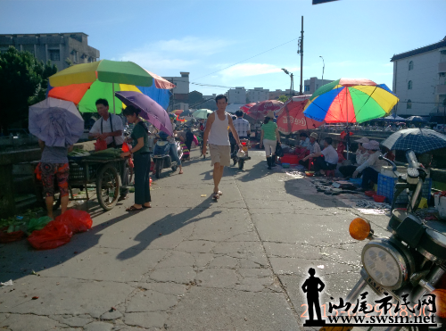 IMG_20150629_080055_AO_HDR.jpg