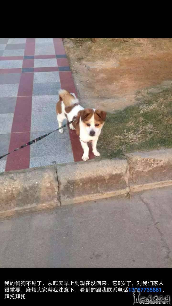 ʧǰĽ
