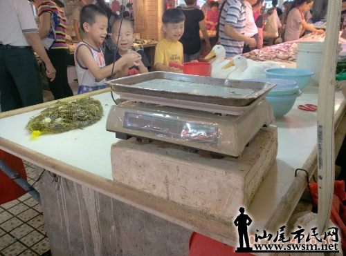 IMG_20150804_163055_AO_HDR.jpg