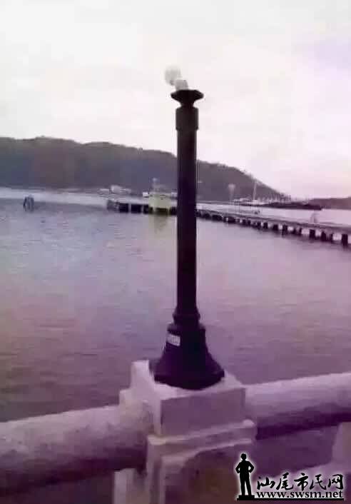 186532084833233972.jpg