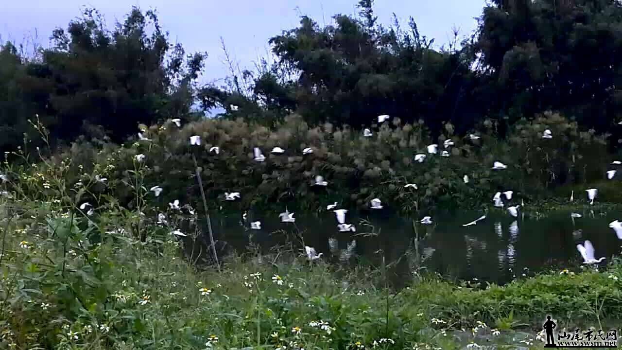 QQͼƬ20151011160743.jpg