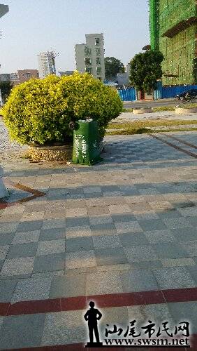 IMG_20151028_163115.jpg