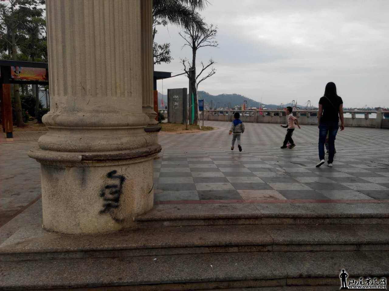 355411706384206034.jpg