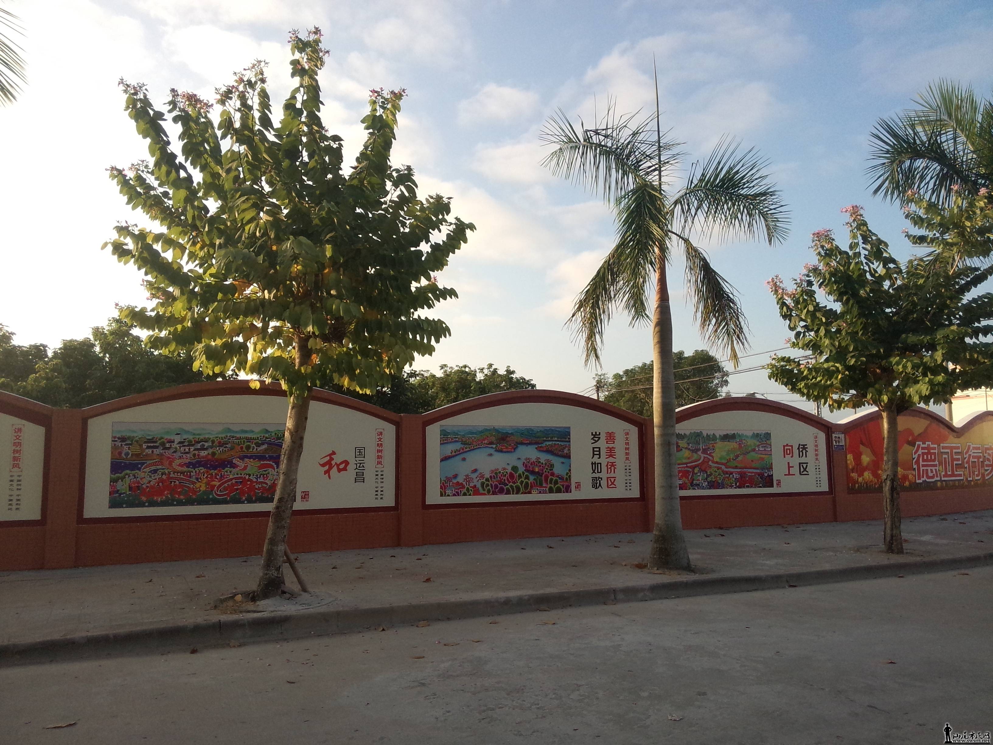 P51118-071736.jpg