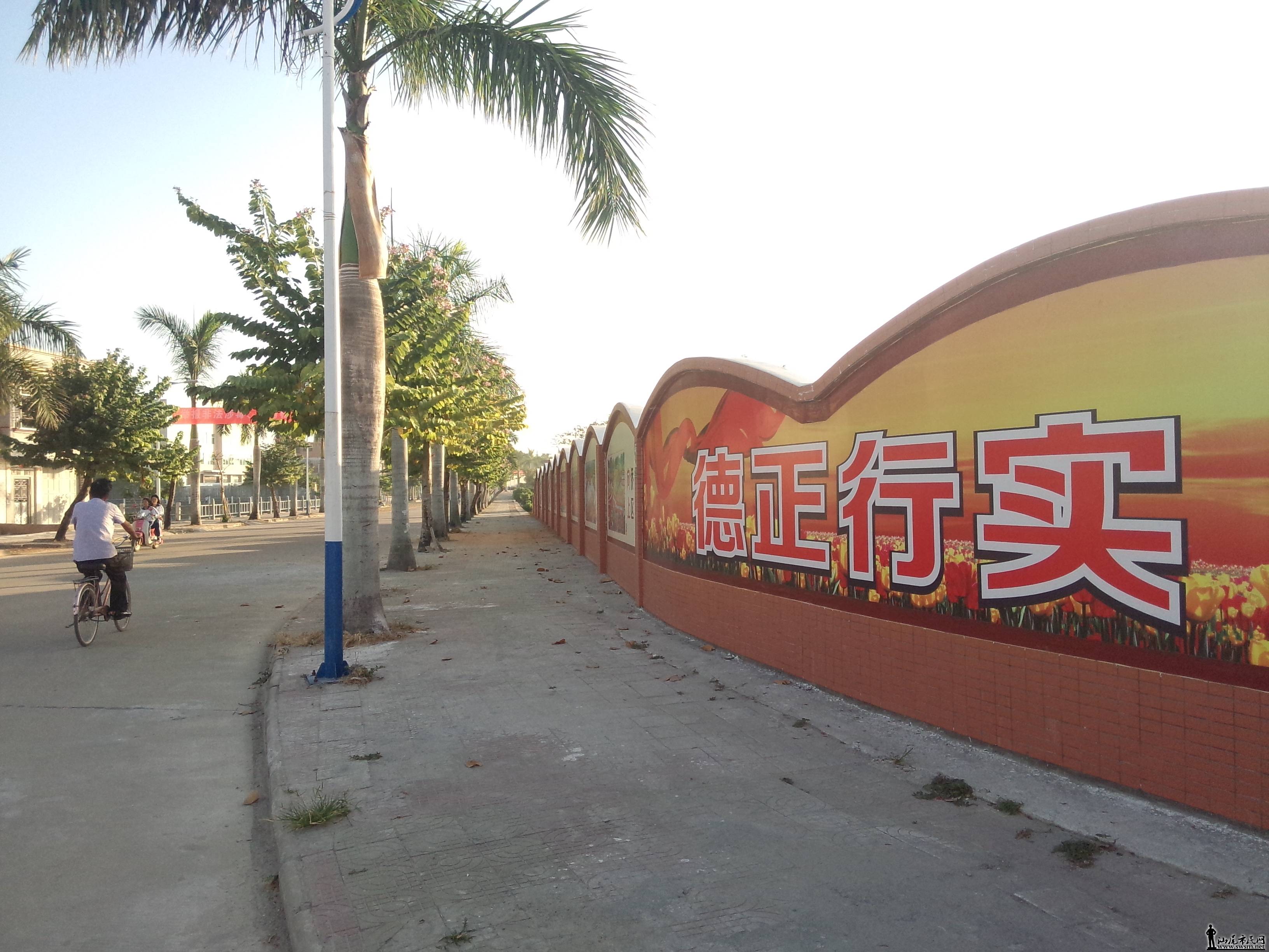 P51118-072856.jpg