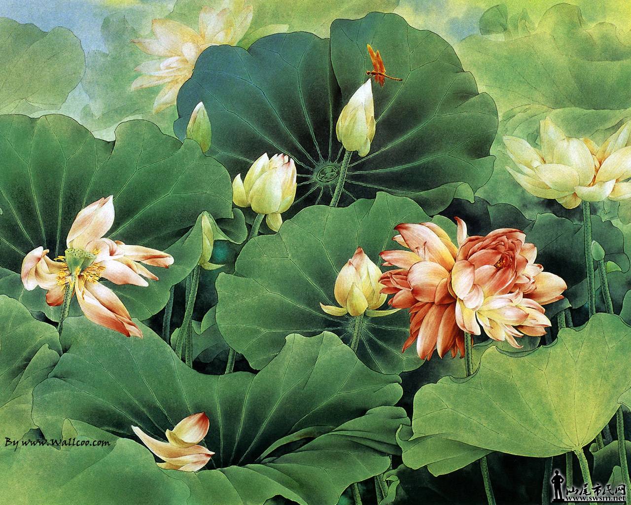 Chinese_painting_ZouChuanAn-Floweramp+6+5.jpg7a_wallcoo.com[1].jpg