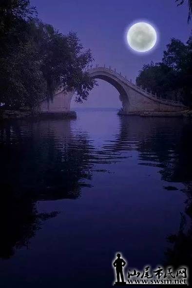 link (22).jpg