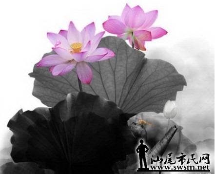 a212f0aagw1ev089p75shj20c80agwf2.jpg