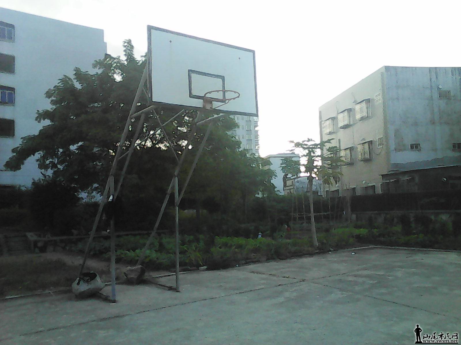 IMG_20151211_075555.jpg