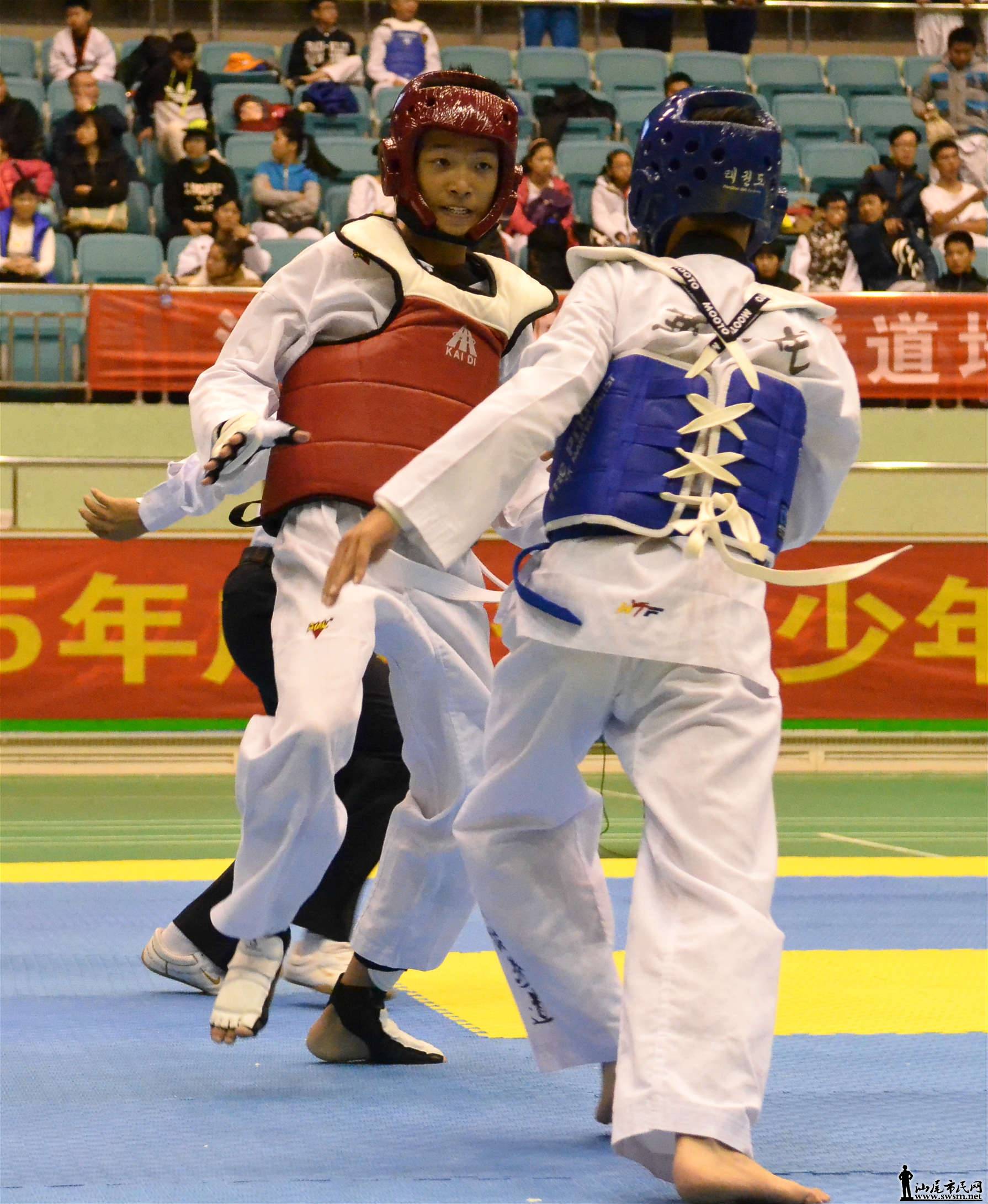 DSC_3339_meitu_8.jpg