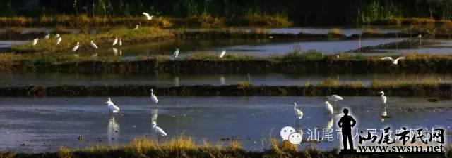640.webp (18).jpg