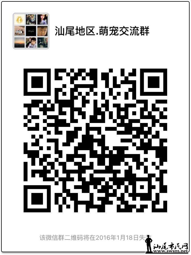 607173554909968491.jpg
