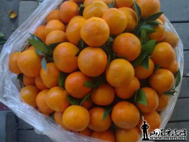640.webp (10).jpg