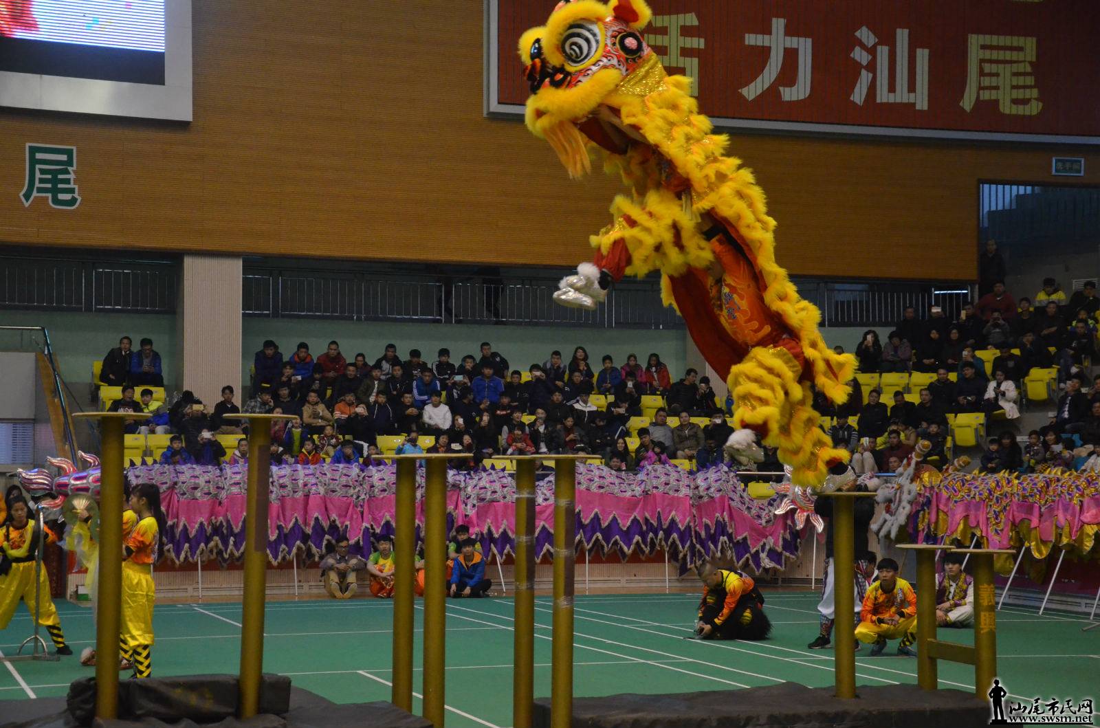DSC_0740_meitu_17.jpg