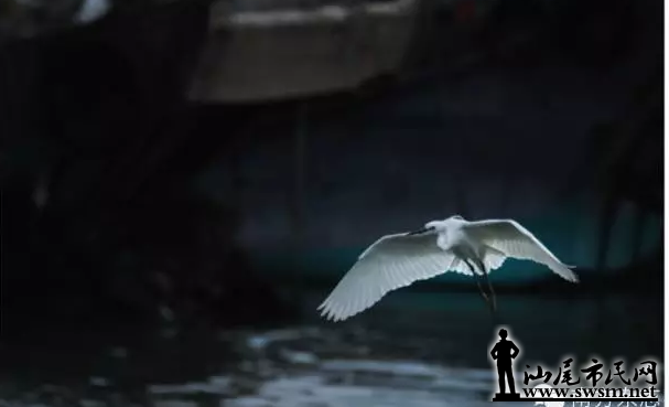 QQͼ20160130103455.png