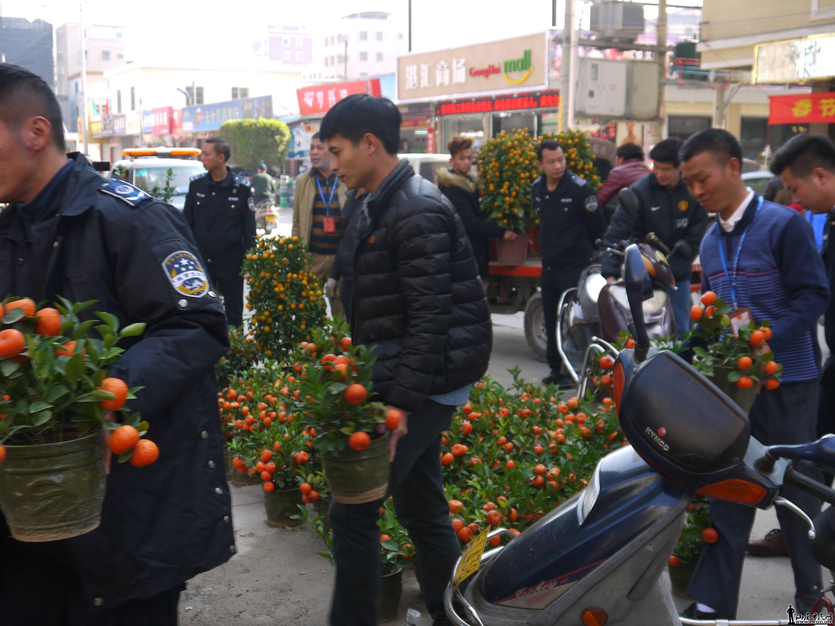 P1050316.JPG