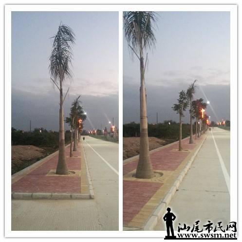 initpintu_4.jpg