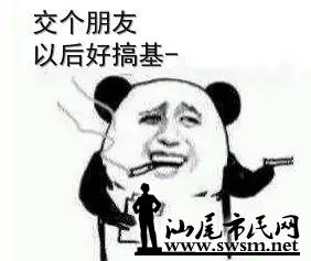 085917dd6uyipipippjdjz.jpg