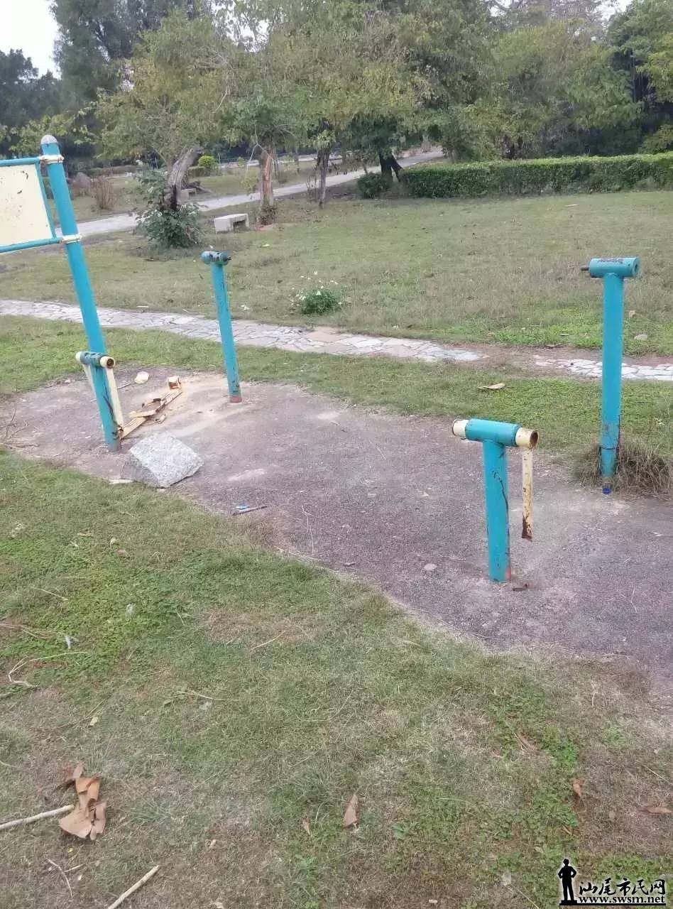 δ1.jpg