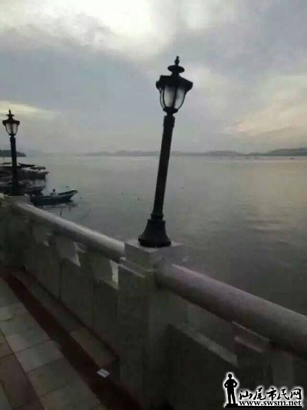 113138y1bm3wf3vbbpzsmr.jpg