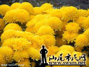 u=1291707276,227580758&amp;fm=21&amp;gp=0.jpg