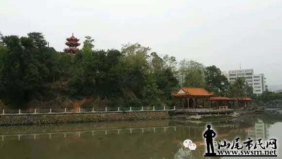 640.webp (17).jpg