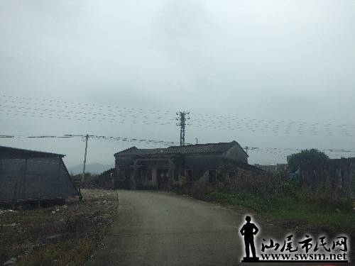 广东海丰县城有多少人口_广东海丰县第一美女(3)