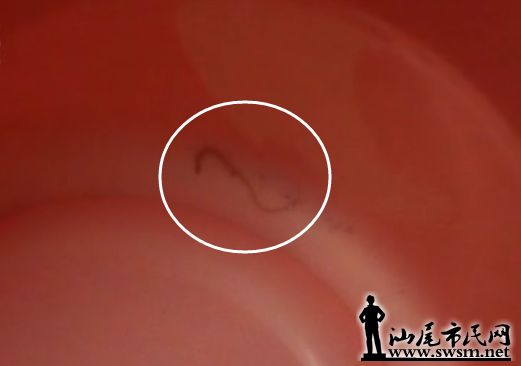 QQͼƬ20160413191404.png