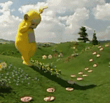 15.gif