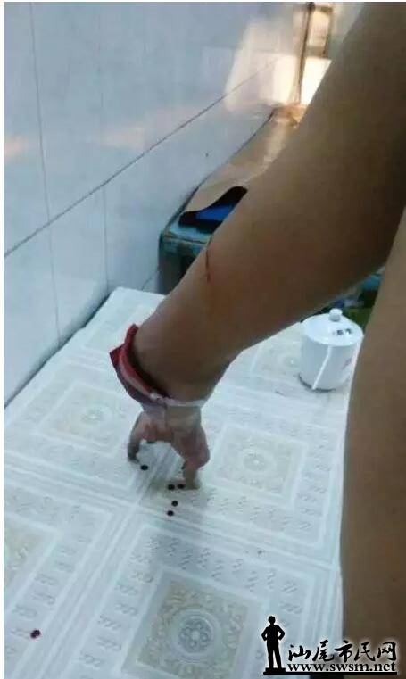 QQͼ20160502141213.jpg