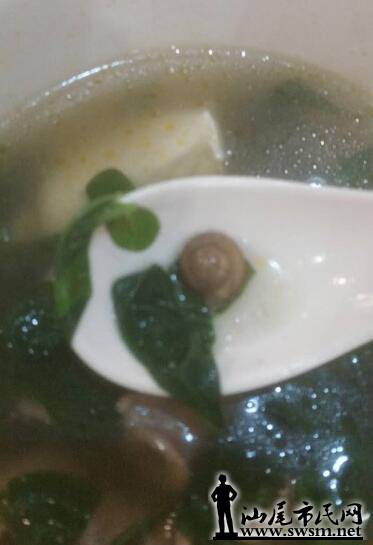 QQͼƬ20160510092257.jpg