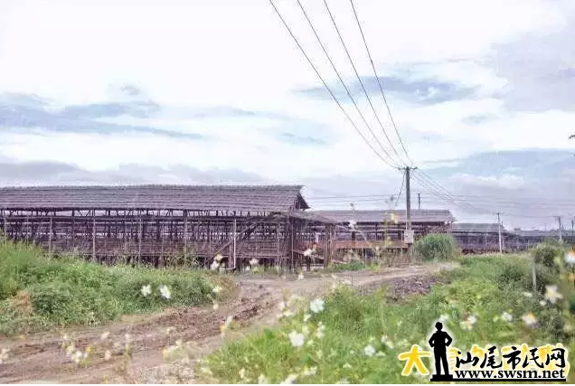 155051oq1yhqivim1ai180.png